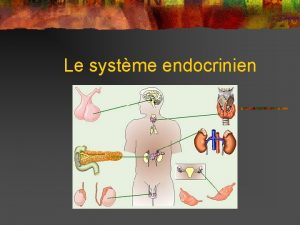 Le systme endocrinien Le systme endocrinien n Le