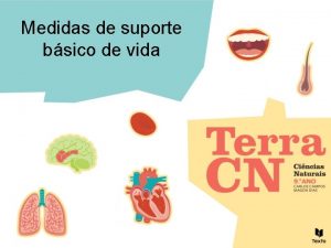 Medidas de suporte bsico de vida Cadeia de