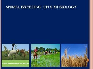 ANIMAL BREEDING CH 9 XII BIOLOGY ANIMAL BREEDING