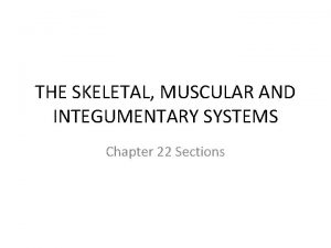 THE SKELETAL MUSCULAR AND INTEGUMENTARY SYSTEMS Chapter 22
