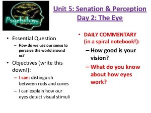 Unit 5 Senation Perception Day 2 The Eye