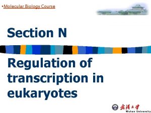 Molecular Biology Course Section N Regulation of transcription