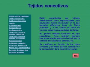 Tejidos conectivos Clulas y fibras conectivas Tejido conectivo