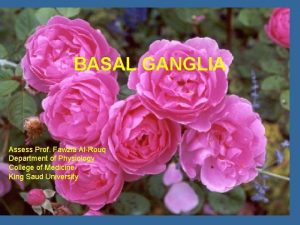 BASAL GANGLIA The Autonomic Nervous System Assess Prof