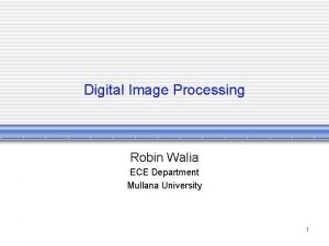 Digital Image Processing Robin Walia ECE Department Mullana