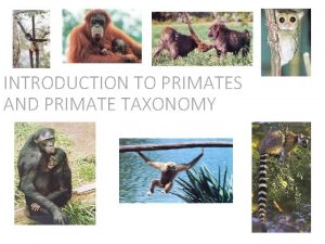 INTRODUCTION TO PRIMATES AND PRIMATE TAXONOMY Taxonomy Each