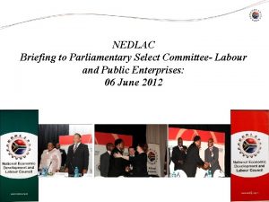 NEDLAC Briefing to Parliamentary Select Committee Labour and