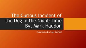 The Curious Incident of the Dog In the