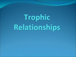 Trophic Relationships Definition Feeding connections among living organisms