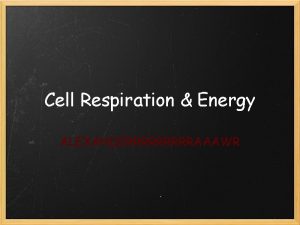 Cell Respiration Energy ALEXANDERRRRRAAAWR Energy Cells All living
