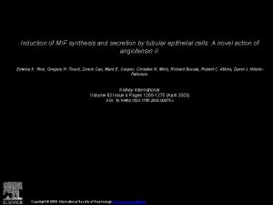 Induction of MIF synthesis and secretion by tubular