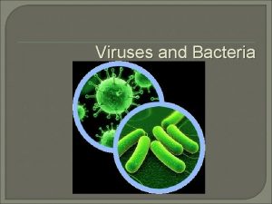 Viruses and Bacteria What are viruses Viruses are
