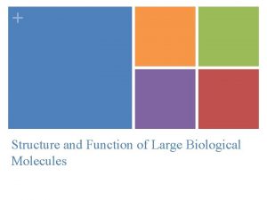 Structure and Function of Large Biological Molecules Macromolecules