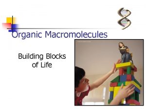 Organic Macromolecules Building Blocks of Life 2007 2008