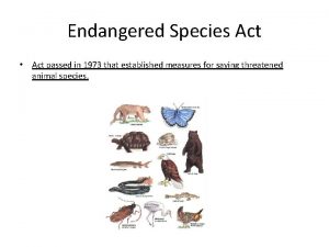 Endangered Species Act Act passed in 1973 that