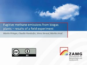 Fugitive methane emissions from biogas plants results of