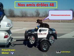 Nos amis drles 48 Wouuuuuouuu Prsent par Michel