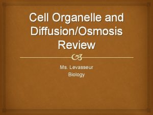Cell Organelle and DiffusionOsmosis Review Ms Levasseur Biology