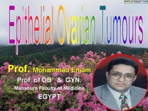 Prof Mohammad Emam Prof of OB GYN Mansoura