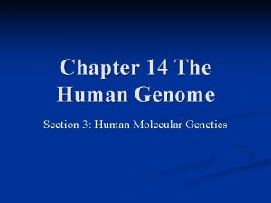 Chapter 14 The Human Genome Section 3 Human