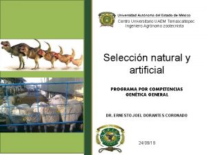 Centro Universitario UAEM Temascaltepec Ingeniero Agrnomo zootecnista Seleccin