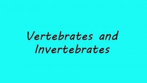 Vertebrates and Invertebrates What are they Vertebrates are