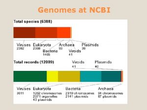 Genomes at NCBI Genomes at NCBI Database and
