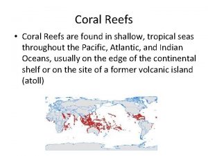Coral Reefs Coral Reefs are found in shallow