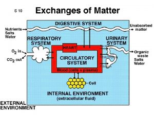 S 10 Secretion Reabsorption Filtration Drink plenty of