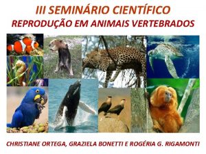 III SEMINRIO CIENTFICO REPRODUO EM ANIMAIS VERTEBRADOS CHRISTIANE