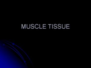 MUSCLE TISSUE MUSCLE TISSUE Specialized for contraction to