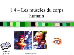 1 4 Les muscles du corps humain Chapitre