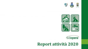 Report attivit 2020 Premessa Adopera S r l