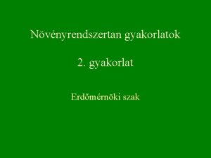 Nvnyrendszertan gyakorlatok 2 gyakorlat Erdmrnki szak Lemezes gombk