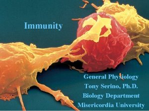 Immunity General Physiology Tony Serino Ph D Biology