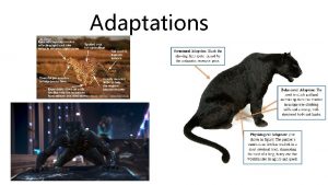 Adaptations Adaptations are unique features that arise from