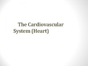The Cardiovascular System Heart The Cardiovascular System A