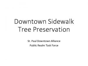 Downtown Sidewalk Tree Preservation St Paul Downtown Alliance