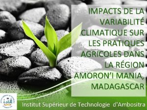 IMPACTS DE LA VARIABILIT CLIMATIQUE SUR LES PRATIQUES