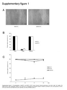 Supplementary figure 1 A h ECFC B dm