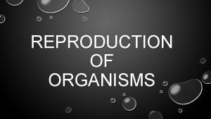 REPRODUCTION OF ORGANISMS SEXUAL REPRODUCTION TYPE OF REPRODUCTION