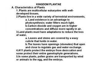 KINGDOM PLANTAE A Characteristics of Plants 1 Plants
