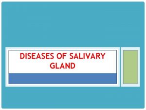 DISEASES OF SALIVARY GLAND SALIVARY GLANDS There are