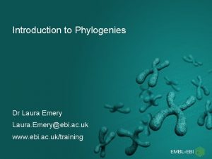 Introduction to Phylogenies Dr Laura Emery Laura Emeryebi