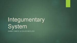 Integumentary System GABBY SIMCIC CHLOE MCCLISH Integumentary System