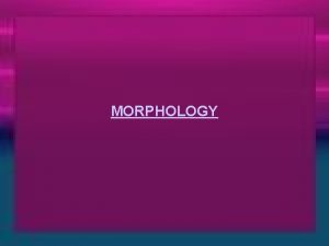 MORPHOLOGY Morphology l The study of internal structure