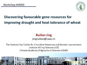 Workshop AHEAD Discovering favourable gene resources for improving