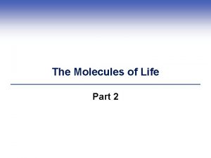 The Molecules of Life Part 2 Carbohydrates Carbohydrates