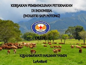 KEBIJAKAN PEMBANGUNAN PETERNAKAN DI INDONESIA INDUSTRI SAPI POTONG