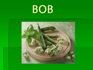 BOB Porijeklo BOB je jednogodinja biljka slina grahu